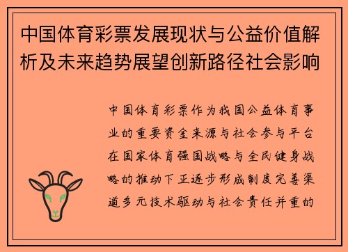 中国体育彩票发展现状与公益价值解析及未来趋势展望创新路径社会影响研究